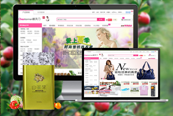 �ػʵ��������̳�