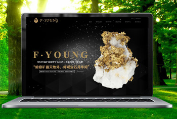 �ػʵ��������ﱦʯ